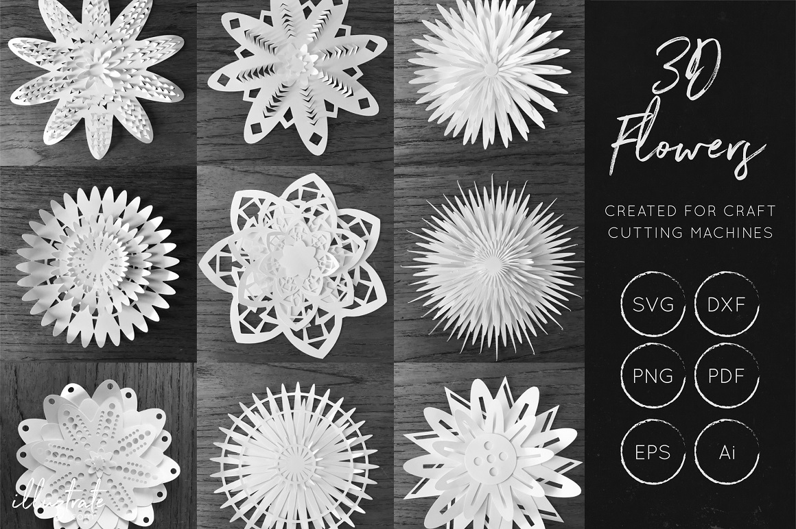 3D Flowers Bundle