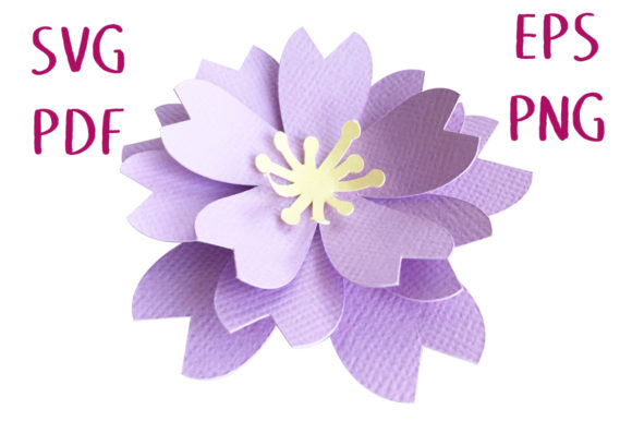 3D Sakura Blossom Flower
